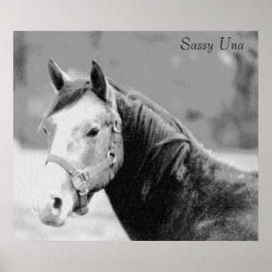 Sassy Una Print Poster