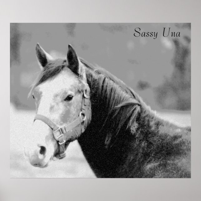 Sassy Una Print Poster (Vorne)