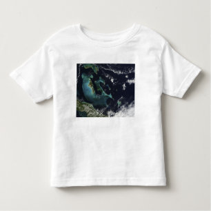 Satellitenansicht der Bahamainseln Kleinkind T-shirt