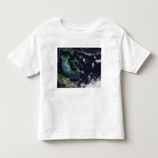 Satellitenansicht der Bahamainseln Kleinkind T-shirt (Vorderseite)