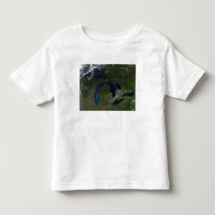 Satellitenansicht der Great Lakes Kleinkind T-shirt