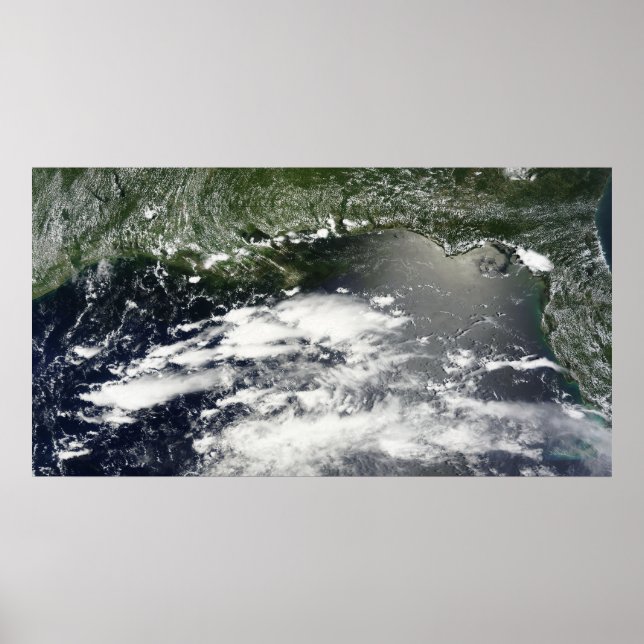 Satellitenansicht der Ölpest 2 Poster (Vorne)