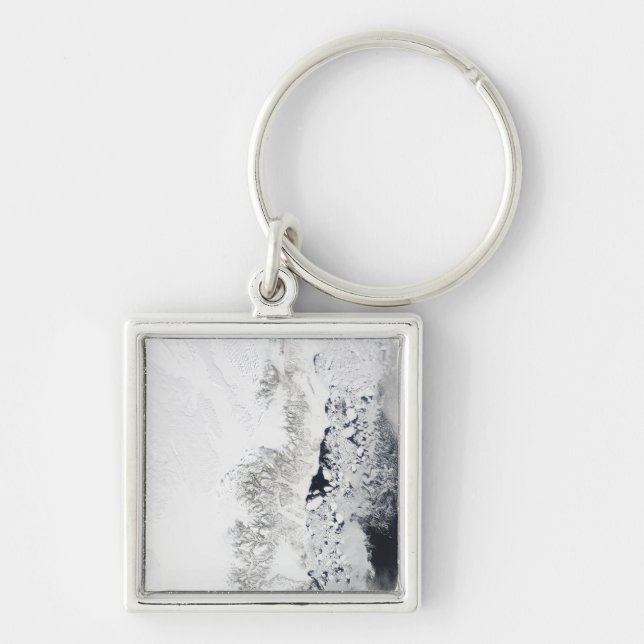 Satellitenansicht der Ostküste Grönlands Schlüsselanhänger (Vorne)