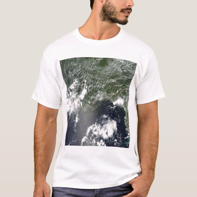 Satellitenansicht des Golfs von Mexiko T-Shirt (Vorderseite)