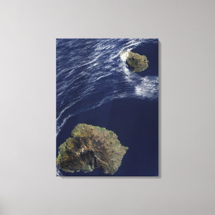 Satellitenansicht des Prinzen Edward Islands Leinwanddruck