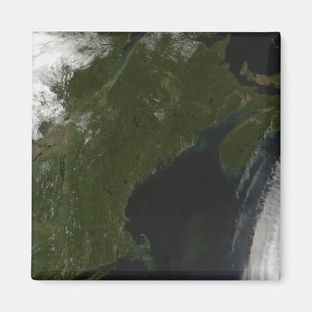Satellitenansicht von New England Magnet (Vorne)