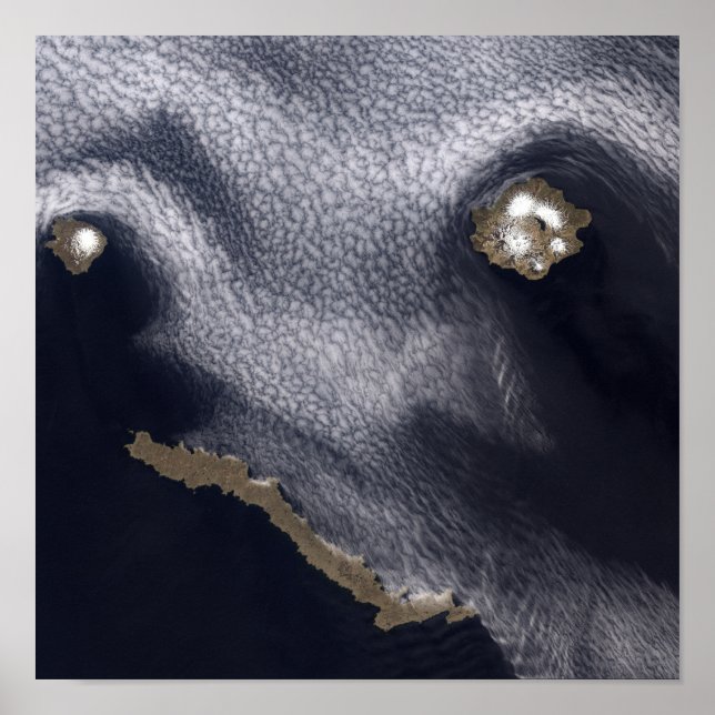 Satellitenbild der Insel Semisopochnoi Poster (Vorne)