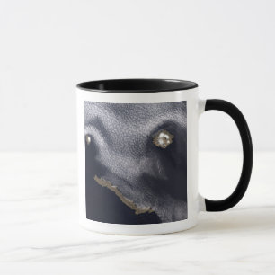 Satellitenbild der Insel Semisopochnoi Tasse