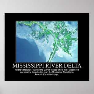 Satellitenbild des Delta des Flusses Mississippi Poster
