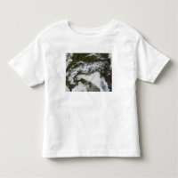 Satellitenbild Die Alpen