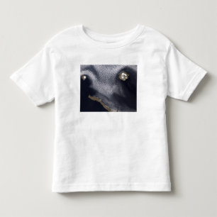 Satellitenbild von Semisopochnoi Insel Kleinkind T-shirt