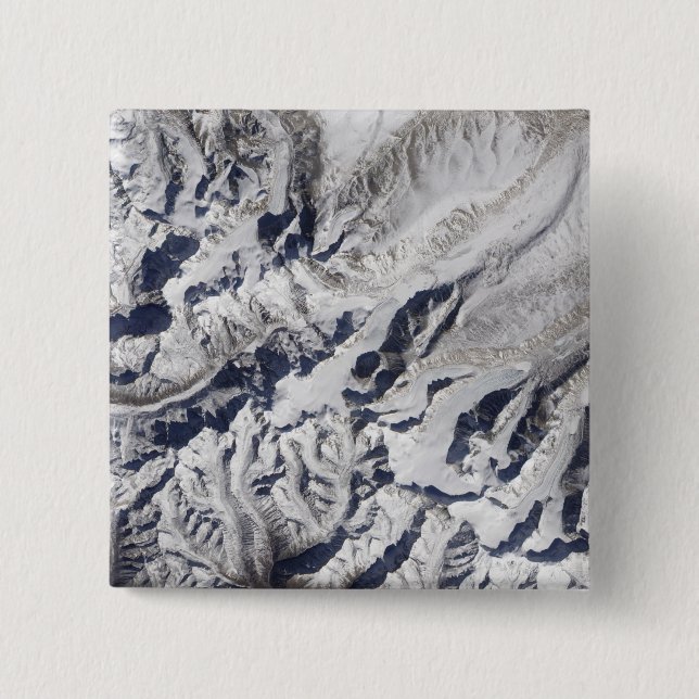 Satellitenblick auf einen Gletscher aus dem Himala Button (Vorderseite)