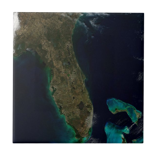 Satellitenblick auf Florida. Fliese (Vorderseite)