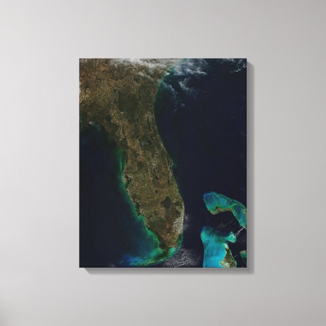 Satellitenblick auf Florida. Leinwanddruck (Vorderseite)