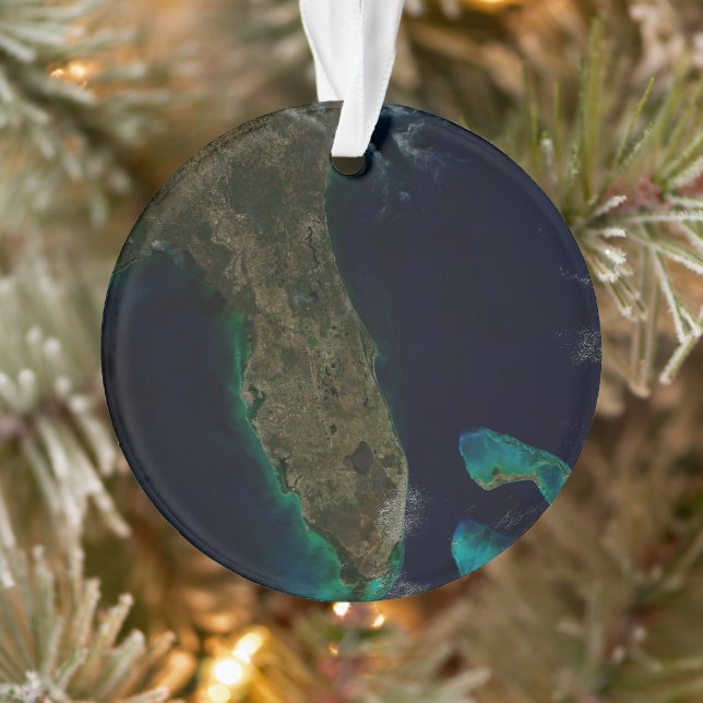 Satellitenblick auf Florida. Ornament (Baum)