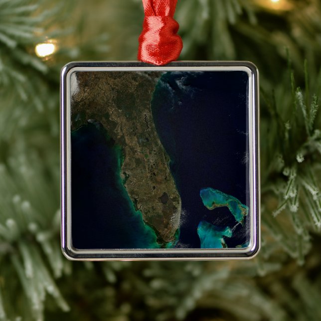 Satellitenblick auf Florida. Ornament Aus Metall (Baum)
