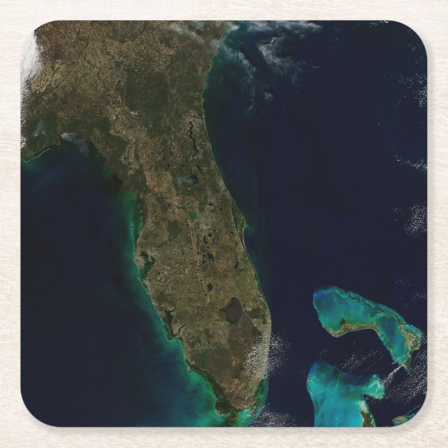 Satellitenblick auf Florida. Rechteckiger Pappuntersetzer (Vorderseite)