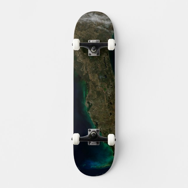Satellitenblick auf Florida. Skateboard (Vorderseite)
