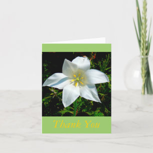 SATINY WHITE BLUME / DANKE SIE KARTE/FOTOG.