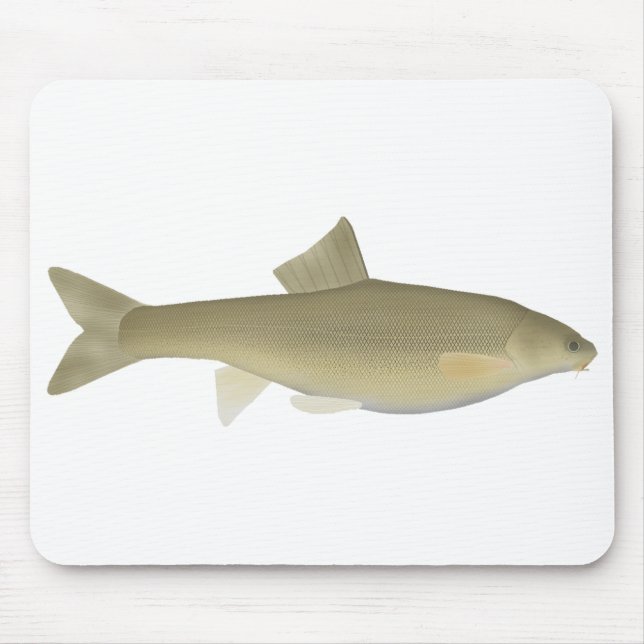 Sattar Snowfout Mousepad (Vorne)