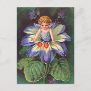 Sattel: Blume Cherub Aster Postkarte