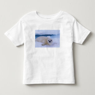 Sattelrobbe Nordamerika, Kanada, Quebec Kleinkind T-shirt