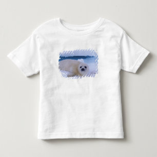 Sattelrobbe Nordamerika, Kanada, Quebec Kleinkind T-shirt