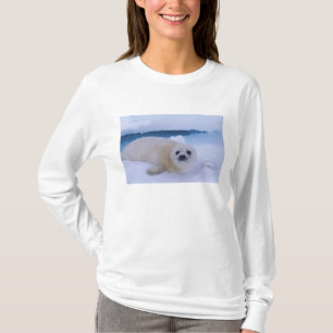 Sattelrobbe Nordamerika, Kanada, Quebec T-Shirt