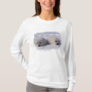 Sattelrobbe (Phoca groenlandica) Sattelrobben-Jung T-Shirt