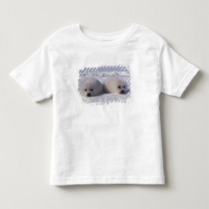 Sattelrobbe (Phoca groenlandica) Sattelrobbenwelpe Kleinkind T-shirt