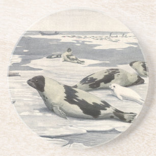 Sattelrobben in der Arktischen Schneelandschaft vo Sandstein Untersetzer