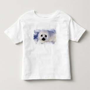 Sattelrobbenjunges Eis Golf von St. Lawrence, Kleinkind T-shirt
