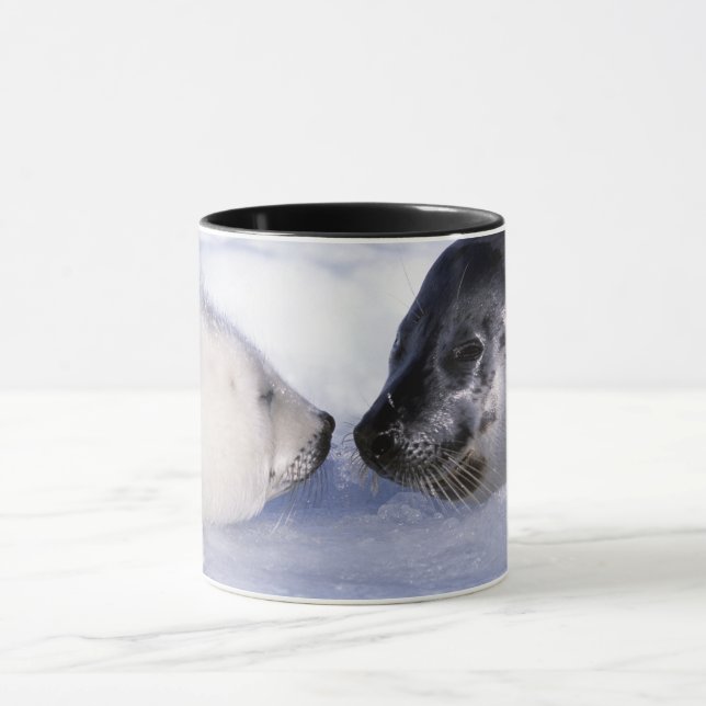 Sattelrobbenmutter mit Jungtier Tasse (Zentrum)