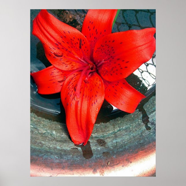 Saturn Flow Poster (Vorne)