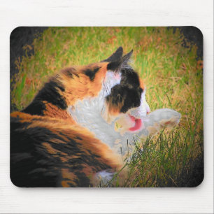 Sauber behalten mousepad