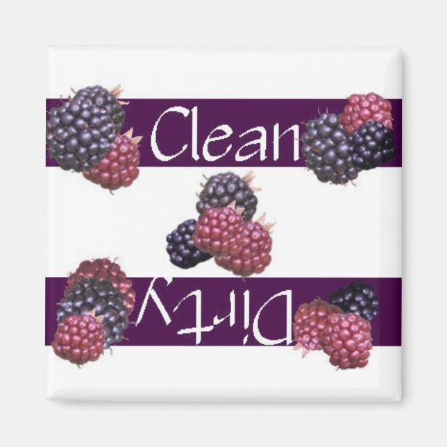 Saubere oder dreckige Himbeeren Geschirrspülmaschi Magnet (Vorne)