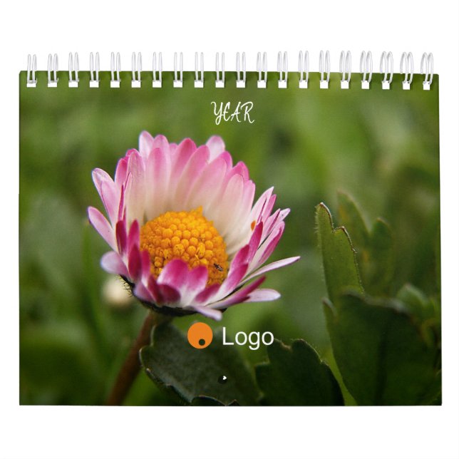 Saubere und einfache Einrichtung Kalender (Titelbild)