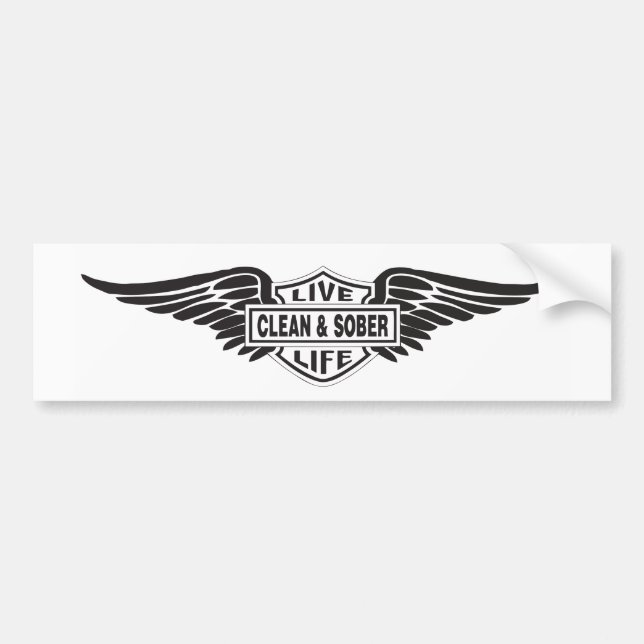 Sauberer und schlichter Autoaufkleber (Vorne)