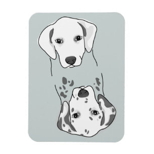 Sauberes Geschirrspüler-Magnet Magnet