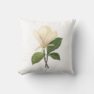 Saucermagnolie (Magnolie soulangiana) durch Kissen