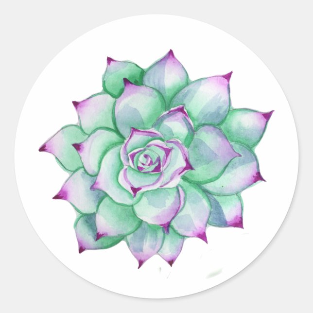 Sauculent Stickers (Vorderseite)