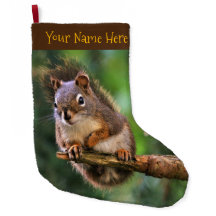 Saucy Red Eichhörnchen in der Tanne