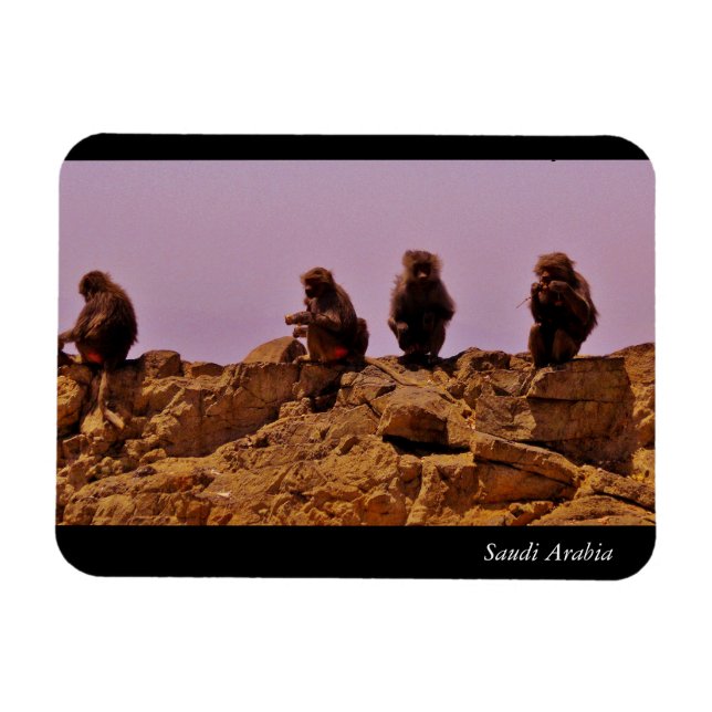 Saudi-Arabien Magnet (Horizontal)