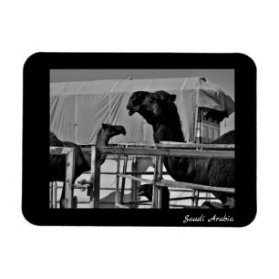 Saudi-Arabien Magnet