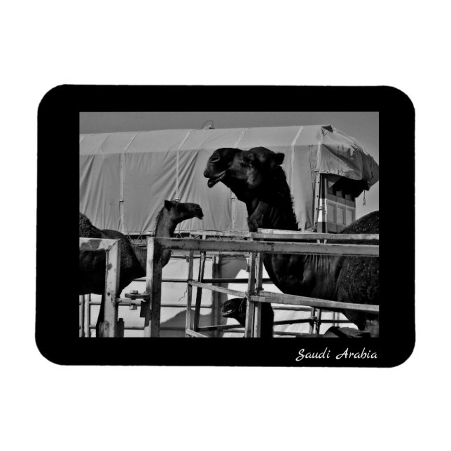 Saudi-Arabien Magnet (Horizontal)