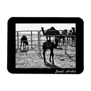 Saudi-Arabien Magnet