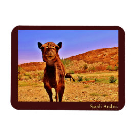 Saudi-Arabien Magnet