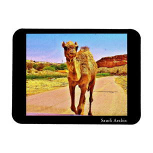 Saudi-Arabien Magnet