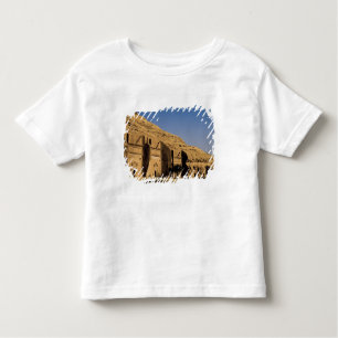 Saudi-Arabien, Standort von Madain Saleh, alte 2 Kleinkind T-shirt