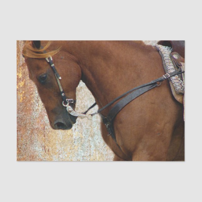 Sauerampfer-Western-PferdeGrunge Seidenpapier (Vorderseite)